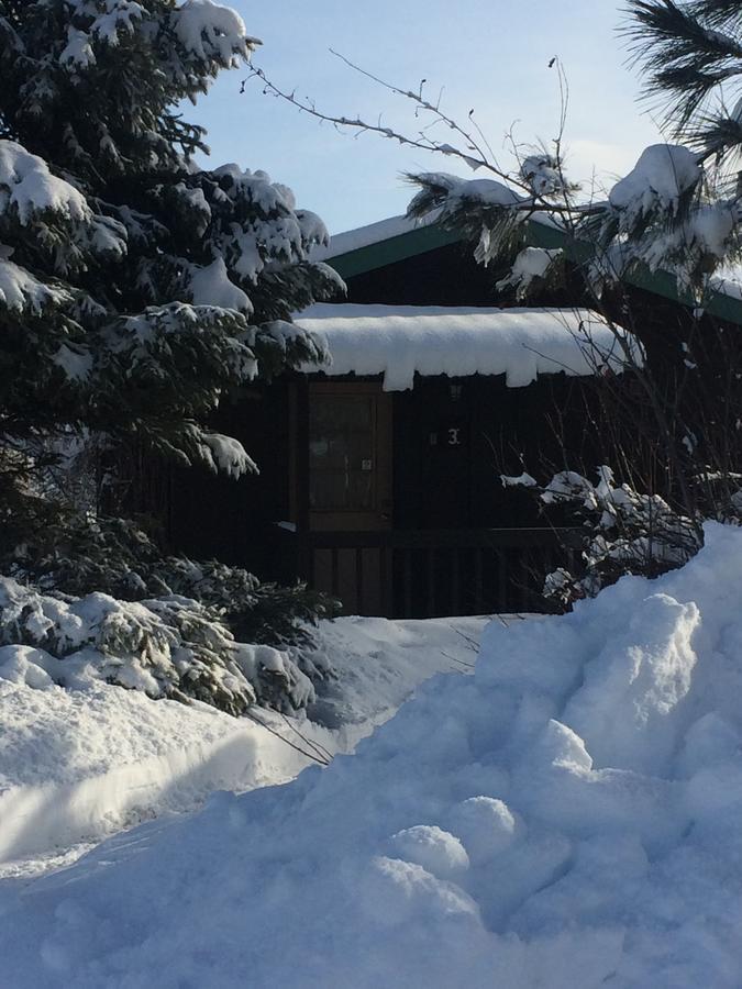 Winthrop Mountain View Chalets エクステリア 写真